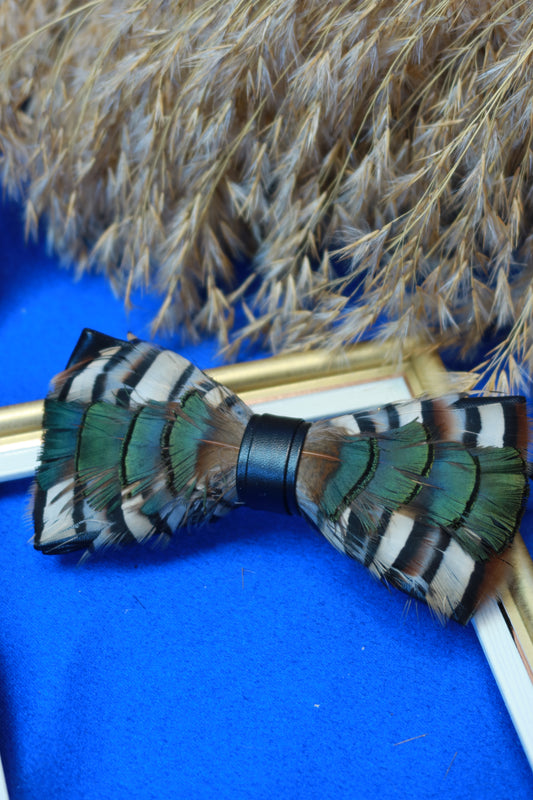 Papillon con Piume