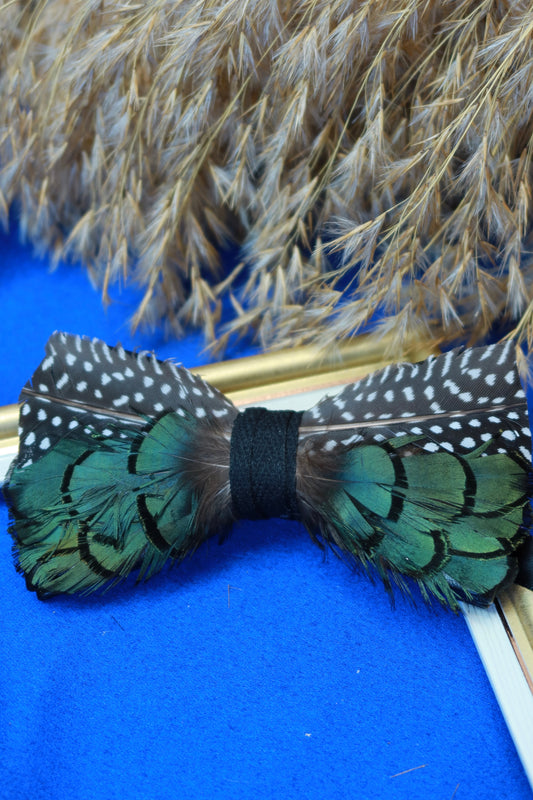 Papillon con Piume
