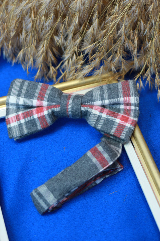 Papillon Scozzese